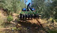 Çiftçiler yağmura sevindi