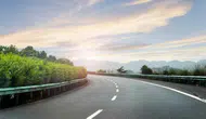 Yol kenarında yetişiyor kilosu 600 TL! Faydaları saymakla bitmiyor