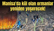 Manisa'da kül olan ormanlar yeniden yeşerecek!