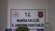 Manisa’da şüpheli evden çıkanlar şok etti