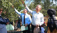 Soma’da zeytin hasadı şenliği düzenlendi