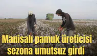 Manisalı pamuk üreticisi sezona umutsuz girdi