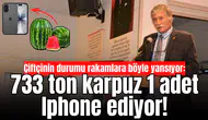 Çiftçinin durumu rakamlara böyle yansıyor: 733 ton karpuz 1 adet Iphone ediyor!
