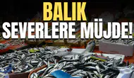 Balık severlere müjde!