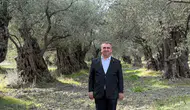 Akhisar'ın zeytin başarısı artıyor