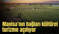 Manisa’nın bağları kültürel turizme açılıyor
