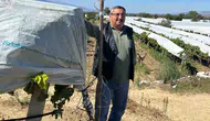 Bağ sahibinden ilginç çözüm