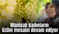 Manisalı kadınların üzüm mesaisi devam ediyor
