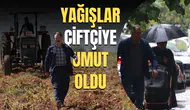 YAĞIŞLAR ÇİFTÇİYE UMUT OLDU