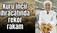 Kuru incir ihracatında rekorrakam