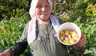 Altın Çilek bereketi pazar tezgahına yansıdı