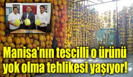 Manisa'nın tescilli o ürünü yok olma tehlikesi yaşıyor!