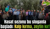 Hasat sezonu bu sloganla başladı: Kalp kırma, zeytin kır!