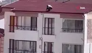 Tedbirsizliği akıllara durgunluk verdi