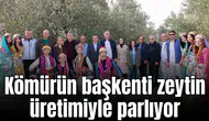 Kömürün başkenti zeytin üretimiyle parlıyor
