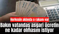 Bakın vatandaş asgari ücretin ne kadar olmasını istiyor