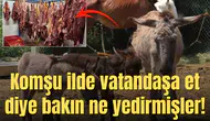 Komşu ilde vatandaşa et diye bakın ne yedirmişler!