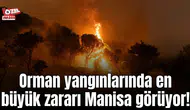 Orman yangınlarında en büyük zararı Manisa görüyor!