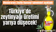 Uluslararası Zeytin Konseyi tahminleri açıkladı: Türkiye’de zeytinyağı üretimi yarıya düşecek!