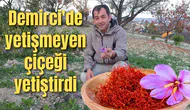 Demirci'de yetişmeyen çiçeği yetiştirdi