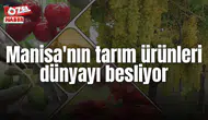 Manisa'nın tarım ürünleri dünyayı besliyor