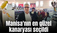 Manisa'nın en güzel kanaryası seçildi