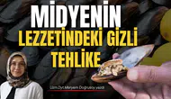 MİDYENİN LEZZETİNDEKİ GİZLİ TEHLİKE: DENİZLERİN SESSİZ ÇAĞRISI
