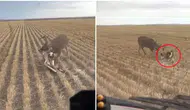 Nasıl olduğuna kimse anlam veremiyor: Bozkırın ortasında dehşete düşüren görüntü