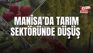 MANİSA’DA TARIM SEKTÖRÜNDE DÜŞÜŞ