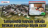 Sahiplendiği hayvanı sokağa bırakan vatandaşa büyük ceza!