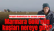 Avrupalı akademisyen bu sorunun peşinde: Marmara Gölü’nün kuşları nereye gitti?
