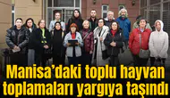 Manisa’daki toplu hayvan toplamaları yargıya taşındı