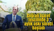 Manisa Sultani Üzümü AB yolunda: Coğrafi işaret tescilinde 3 aylık askı süreci başladı