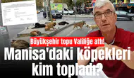 Büyükşehir topu Valiliğe attı! Manisa'daki köpekleri kim topladı?