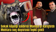 Manisa'da vahşet:2 çocuğa köpekler saldırdı