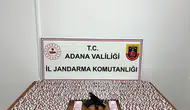 Jandarma 23 bin 876 uyuşturucu hap ele geçirdi
