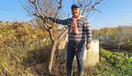 Manisalı çiftçisi soğuğa rağmen budağa devam ediyor