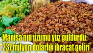 Manisa’nın üzümü yüz güldürdü: 237 milyon dolarlık ihracat geliri