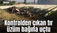 Kontrolden çıkan tır üzüm bağına uçtu