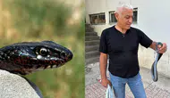 Tuvaletten yılan çıktı!