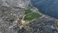 Kül olan ilçede alevler bir tek oraya ulaşamadı