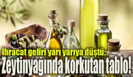 İhracat geliri yarı yarıya düştü: Zeytinyağında korkutan tablo!