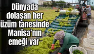 Dünyada dolaşan her üzüm tanesinde Manisa’nın emeği var