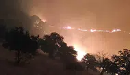 Manisa'da ki orman yangını kontrol altına alındı