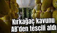 Kırkağaç kavunu AB'den tescil aldı