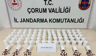 Jandarmadan uyuşturucu operasyonu: 2 tutuklama