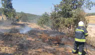 Manisa'da korkutan arazi yangını