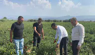 Başevirgen, üreticileri ziyaret etti: Bu düzen çiftçiyi bitirir