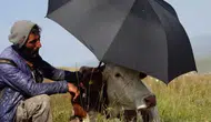Çaresizliğin fotoğrafı