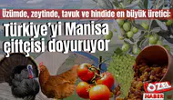 Üzümde, zeytinde, tavuk ve hindide en büyük üretici: Türkiye’yi Manisa çiftçisi doyuruyor